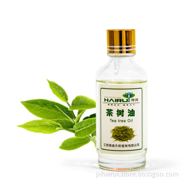 Plant tea tree essential Oil burn body care